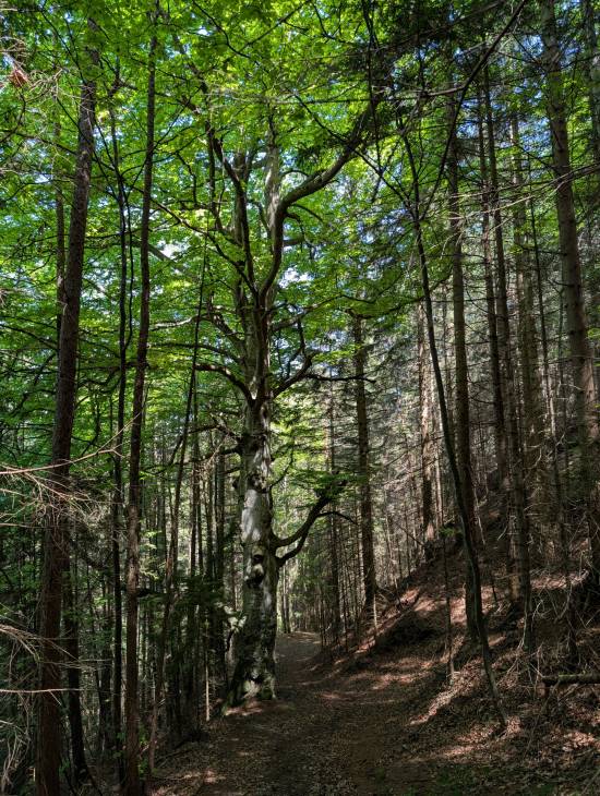 pxl_20250510_104721264.jpg pxl_20250510_104721264.jpg