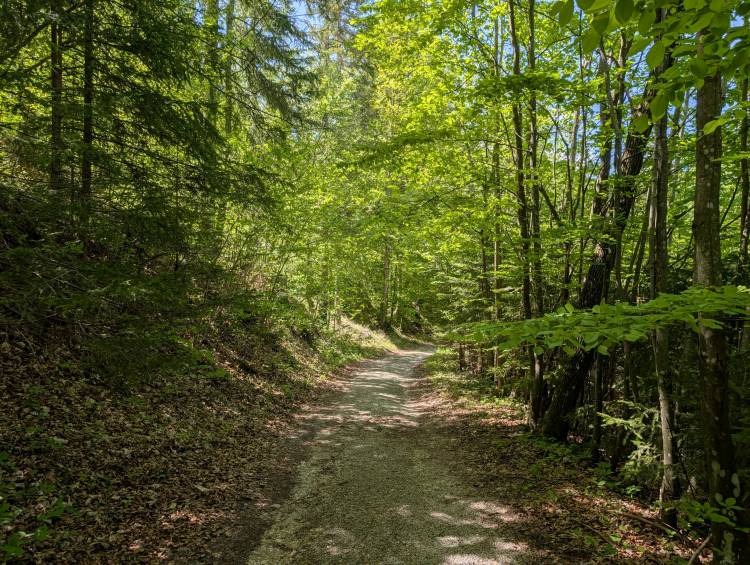 pxl_20250510_111426682.jpg pxl_20250510_111426682.jpg