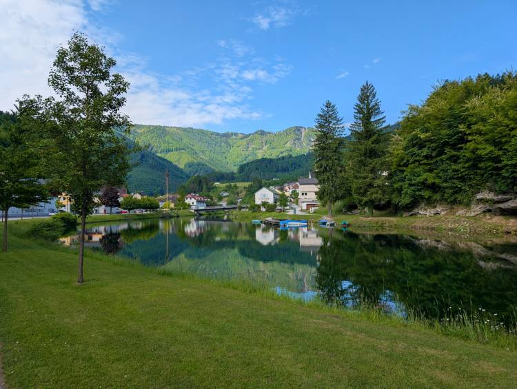 pxl_20250521_075623122.jpg pxl_20250521_075623122.jpg