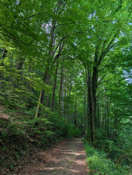 pxl_20250521_083135557.jpg pxl_20250521_083135557.jpg