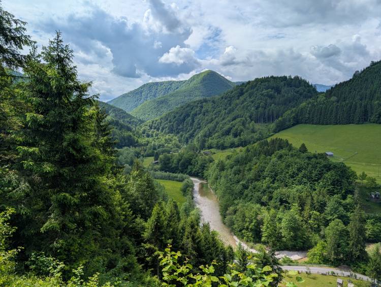 pxl_20250521_090322830.jpg pxl_20250521_090322830.jpg