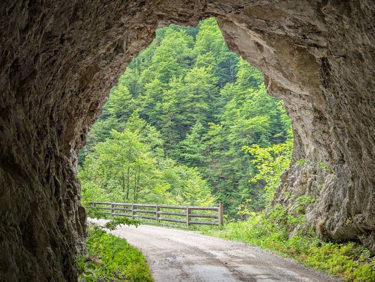 pxl_20250521_103210413.jpg pxl_20250521_103210413.jpg