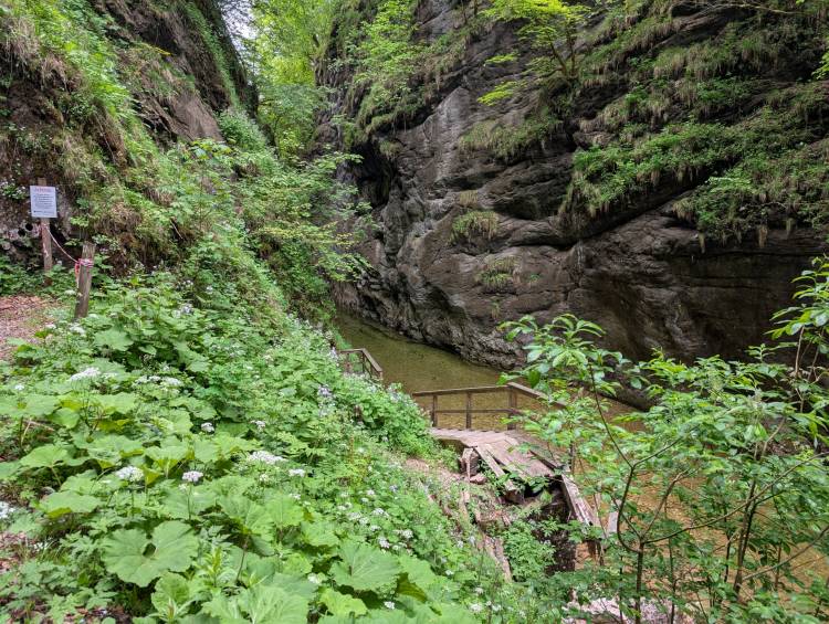 pxl_20250521_112848479.jpg pxl_20250521_112848479.jpg