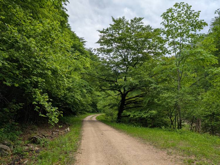 pxl_20250521_134800607.jpg pxl_20250521_134800607.jpg