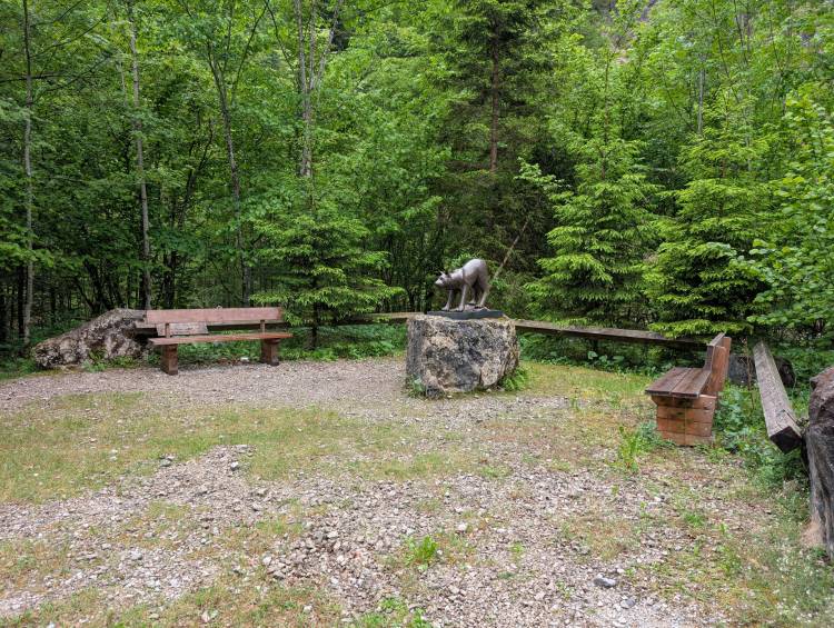 pxl_20250521_140454750.jpg pxl_20250521_140454750.jpg