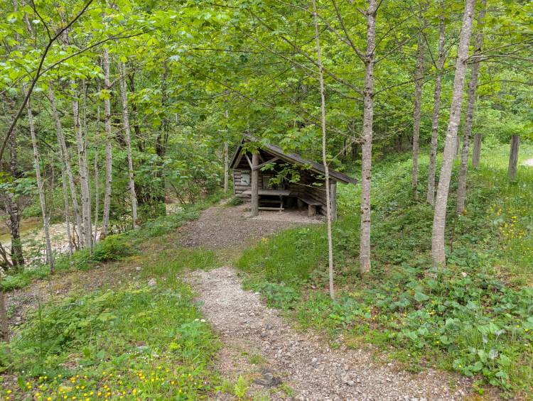 pxl_20250521_141304568.jpg pxl_20250521_141304568.jpg