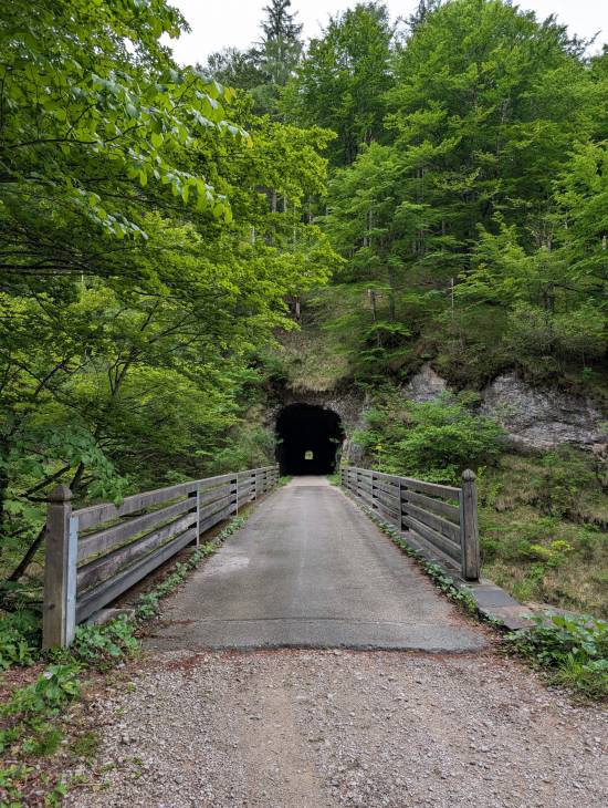 pxl_20250521_141357926.jpg pxl_20250521_141357926.jpg