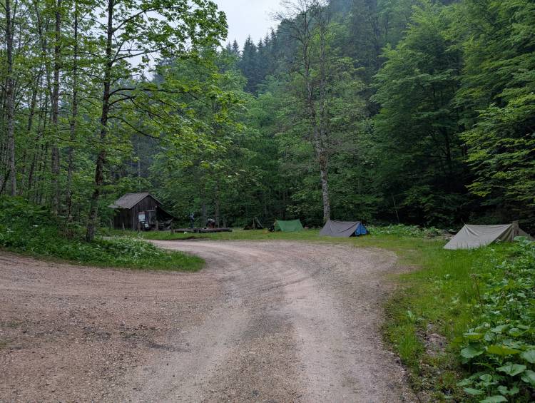 pxl_20250522_041344198.jpg pxl_20250522_041344198.jpg