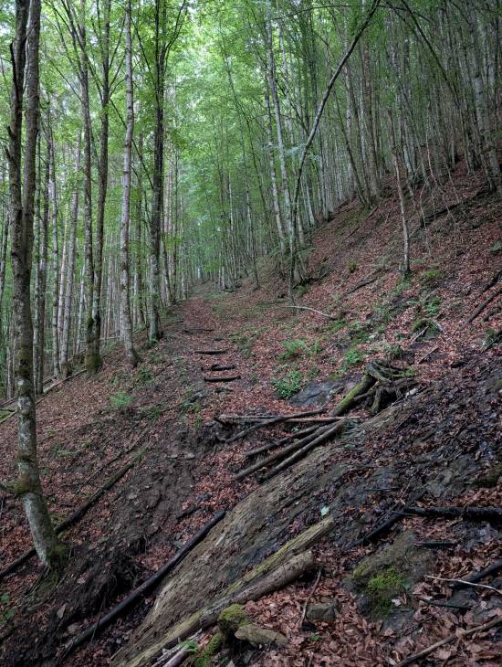 pxl_20250522_041933314.jpg pxl_20250522_041933314.jpg