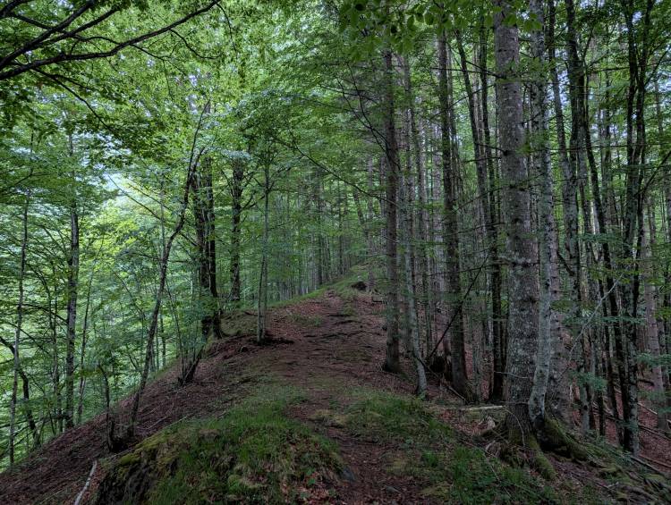 pxl_20250522_043347598.jpg pxl_20250522_043347598.jpg