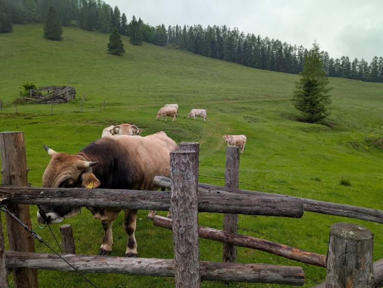 pxl_20250522_054015550.jpg pxl_20250522_054015550.jpg