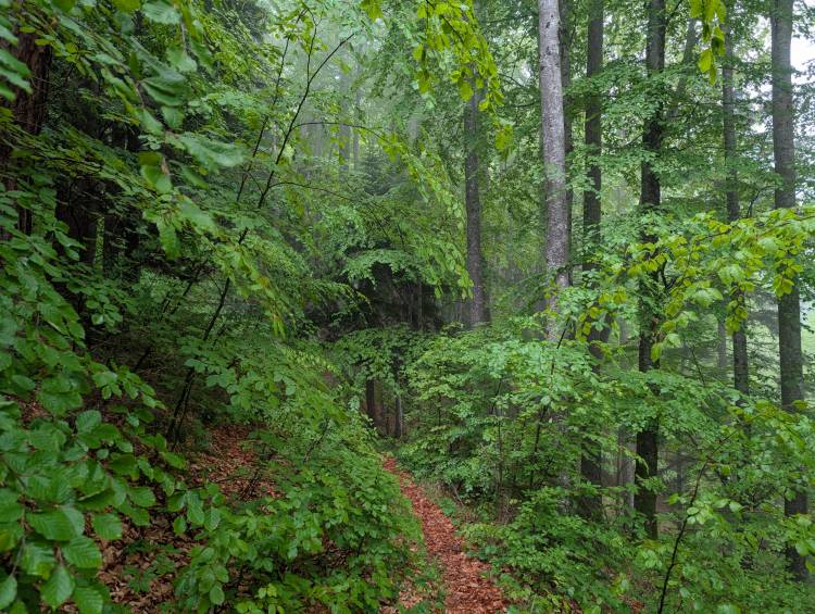 pxl_20250522_063042630.jpg pxl_20250522_063042630.jpg