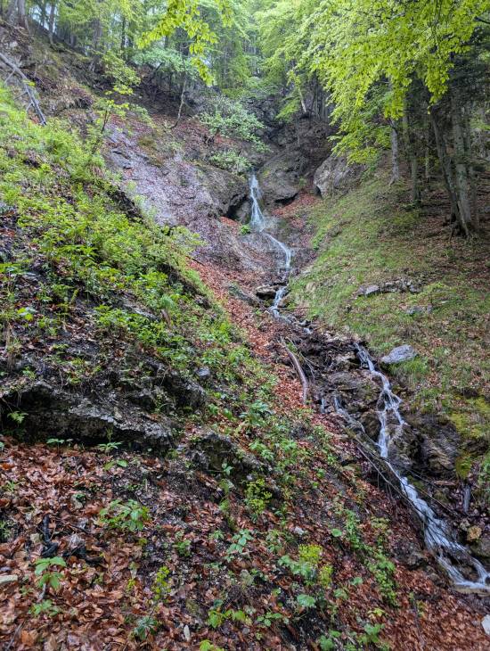 pxl_20250522_063847755.jpg pxl_20250522_063847755.jpg