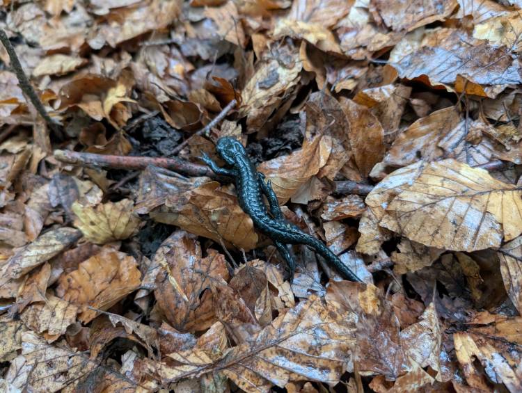 pxl_20250522_064823464.jpg pxl_20250522_064823464.jpg