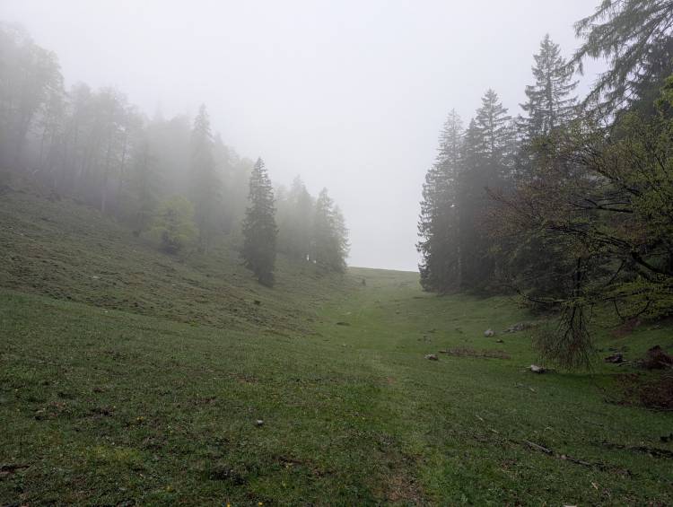 pxl_20250522_071500992.jpg pxl_20250522_071500992.jpg