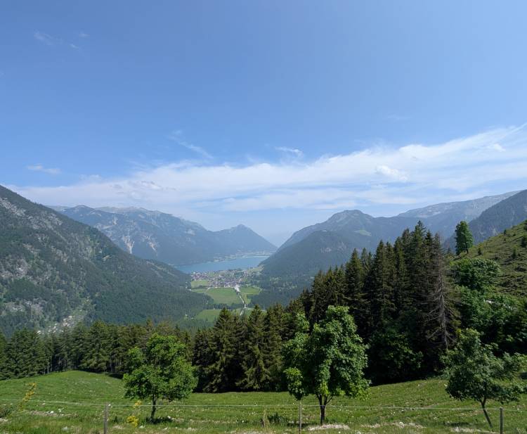pxl_20250610_124840330.jpg