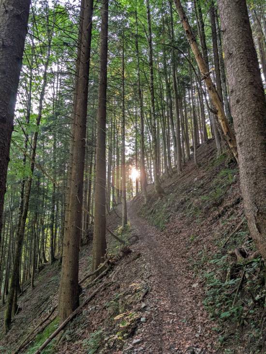 pxl_20250611_051045940.jpg pxl_20250611_051045940.jpg