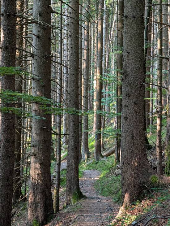 pxl_20250611_051703245.jpg pxl_20250611_051703245.jpg