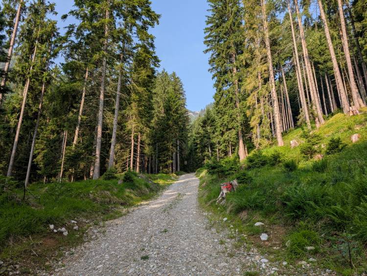 pxl_20250611_053817489.jpg pxl_20250611_053817489.jpg