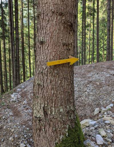 pxl_20250611_054632451.jpg pxl_20250611_054632451.jpg