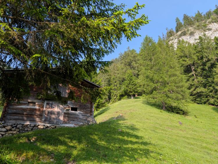 pxl_20250611_061421279.jpg pxl_20250611_061421279.jpg