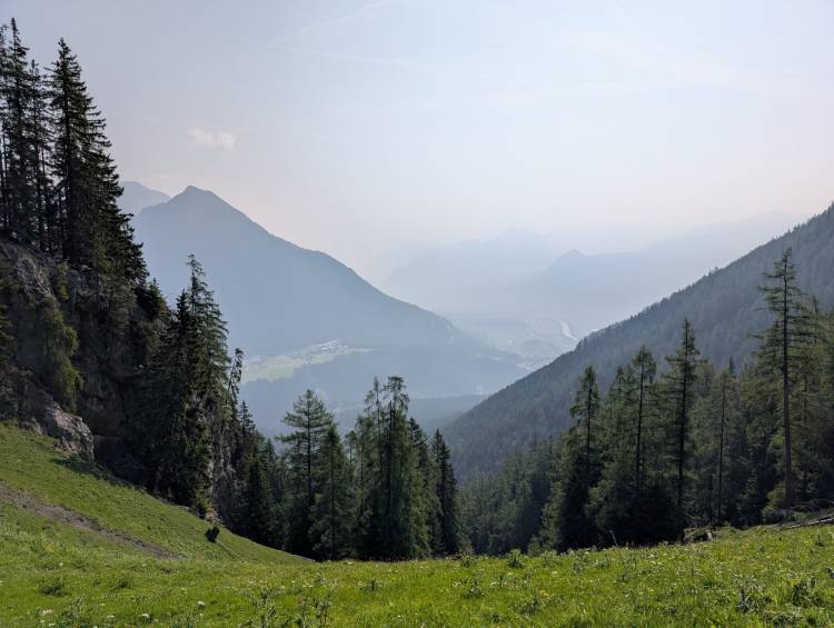 pxl_20250611_071240867.jpg pxl_20250611_071240867.jpg