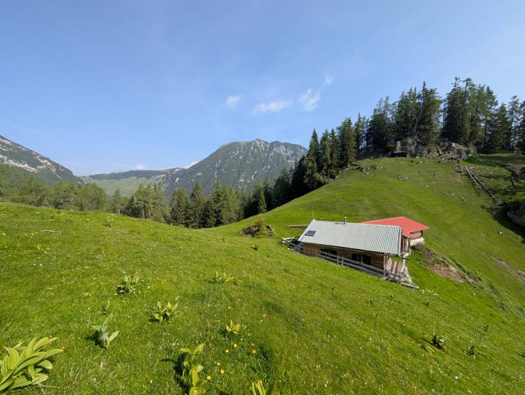 pxl_20250611_071828380.jpg pxl_20250611_071828380.jpg