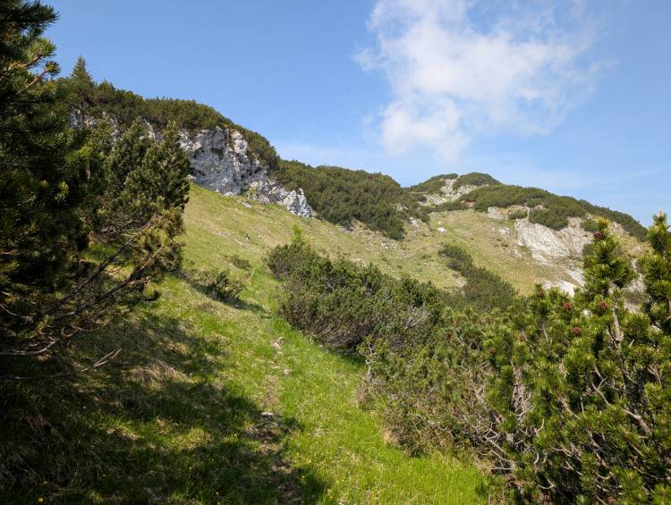 pxl_20250611_082414859.jpg pxl_20250611_082414859.jpg