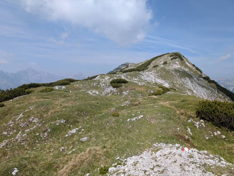 pxl_20250611_091141816.jpg pxl_20250611_091141816.jpg