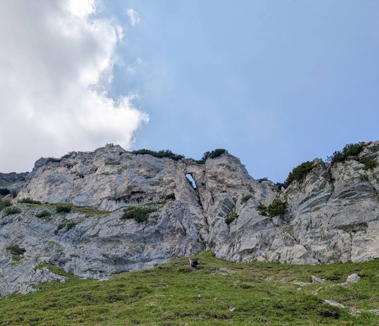 pxl_20250611_105254765.jpg pxl_20250611_105254765.jpg