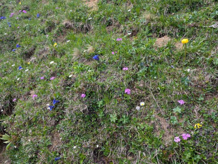 pxl_20250611_110650076.jpg pxl_20250611_110650076.jpg