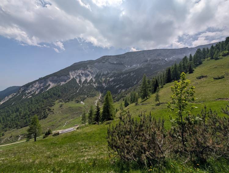 pxl_20250611_112313705.jpg pxl_20250611_112313705.jpg