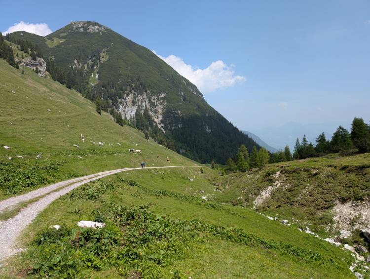 pxl_20250611_120427856.jpg pxl_20250611_120427856.jpg