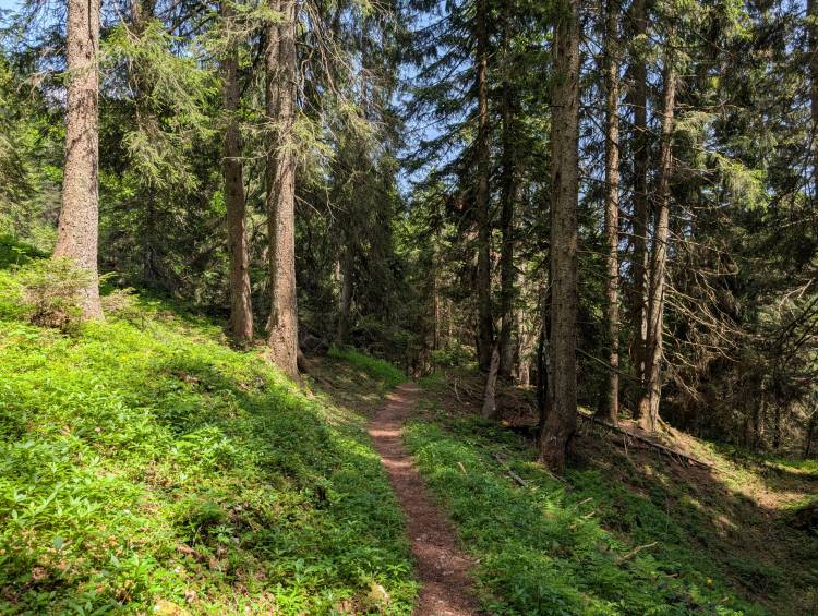 pxl_20250611_122253775.jpg pxl_20250611_122253775.jpg