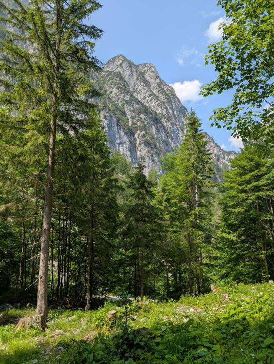 pxl_20250611_130803982.jpg pxl_20250611_130803982.jpg