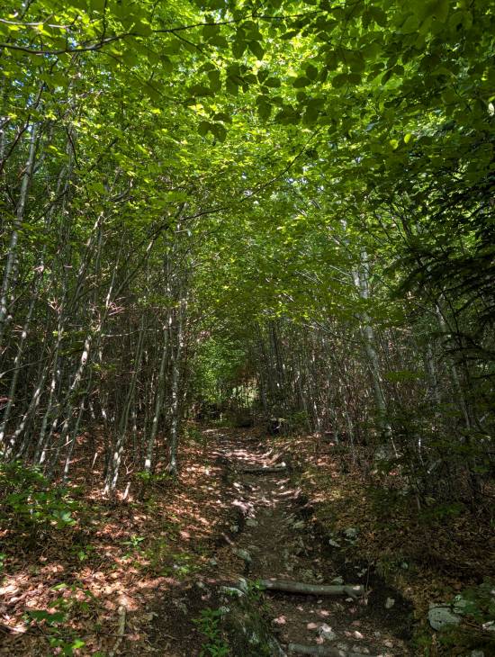 pxl_20250612_070634037.jpg pxl_20250612_070634037.jpg