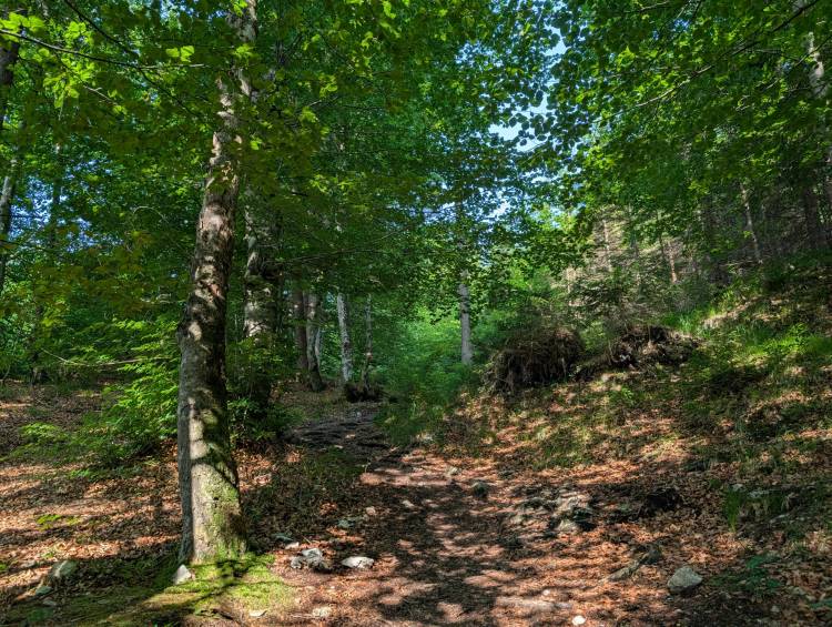 pxl_20250612_071122717.jpg pxl_20250612_071122717.jpg