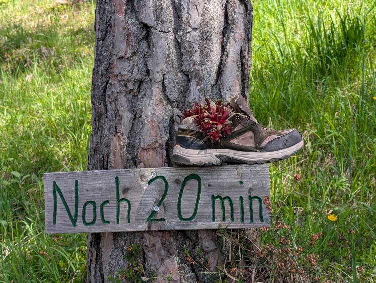 pxl_20250612_075900350.mp.jpg pxl_20250612_075900350.mp.jpg