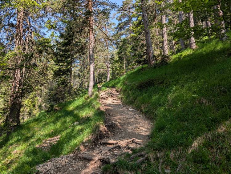 pxl_20250612_080311118.jpg pxl_20250612_080311118.jpg