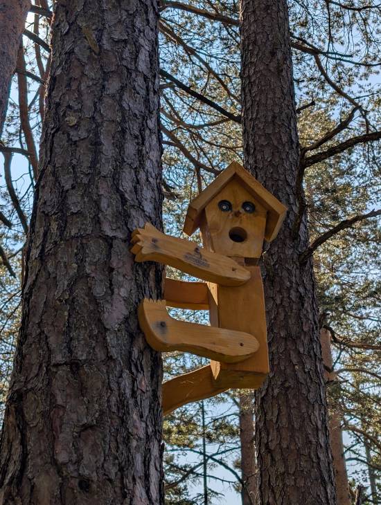 pxl_20250612_081421041.jpg pxl_20250612_081421041.jpg