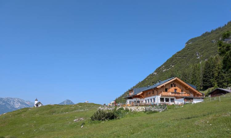 pxl_20250612_082054687.jpg pxl_20250612_082054687.jpg