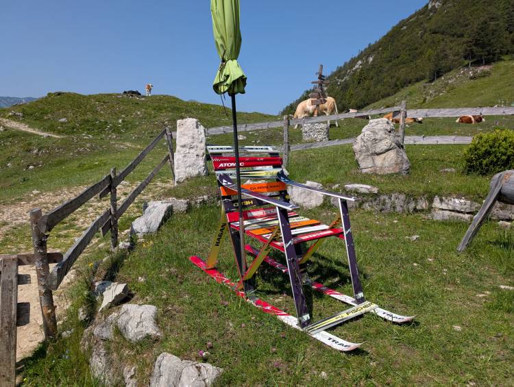 pxl_20250612_091432240.jpg pxl_20250612_091432240.jpg