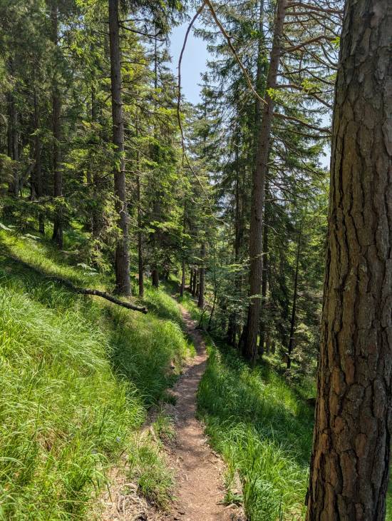 pxl_20250612_100521586.jpg pxl_20250612_100521586.jpg