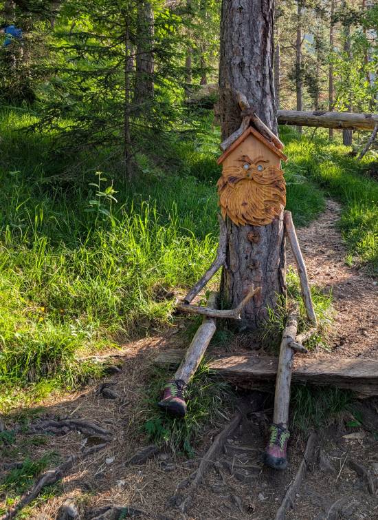 pxl_20250613_061807585.jpg pxl_20250613_061807585.jpg