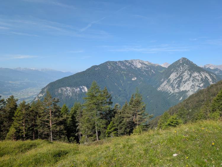 pxl_20250613_070236062.jpg pxl_20250613_070236062.jpg