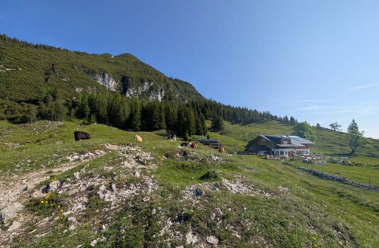 pxl_20250613_070738217.jpg pxl_20250613_070738217.jpg