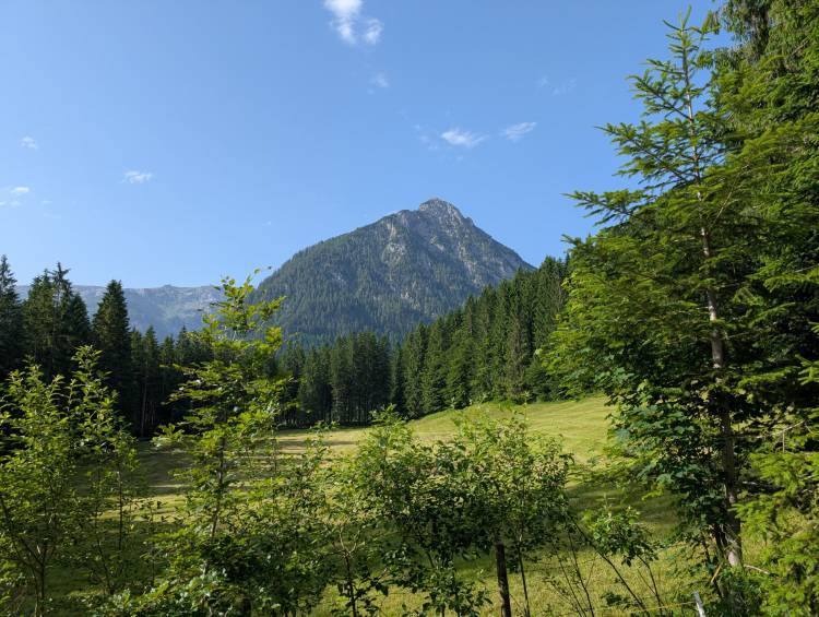 pxl_20250614_064258116.jpg pxl_20250614_064258116.jpg