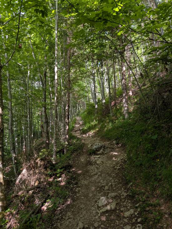 pxl_20250614_070527334.jpg pxl_20250614_070527334.jpg