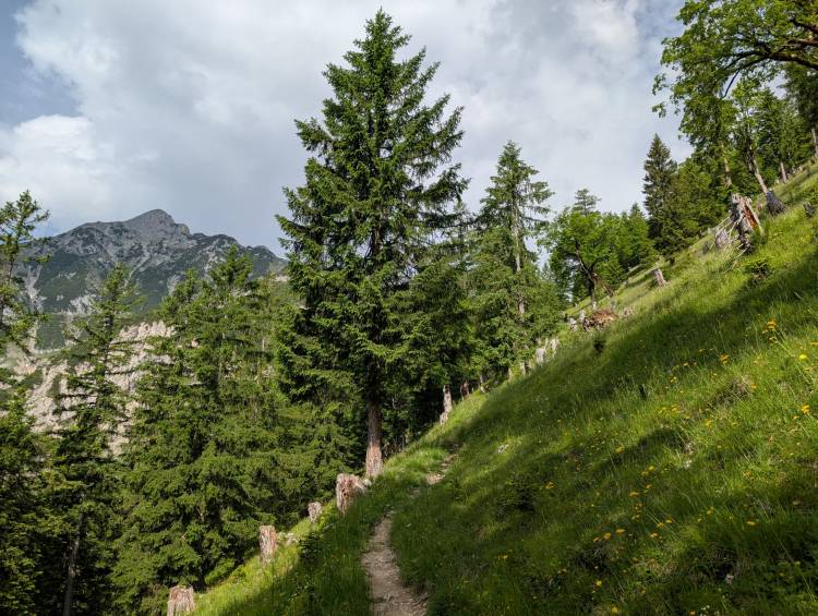 pxl_20250614_073957521.jpg pxl_20250614_073957521.jpg