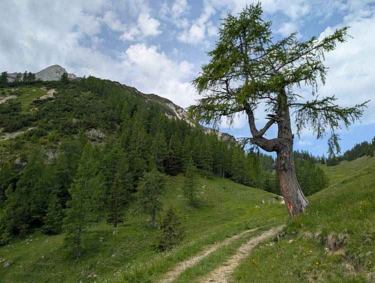 pxl_20250614_075723057.jpg pxl_20250614_075723057.jpg